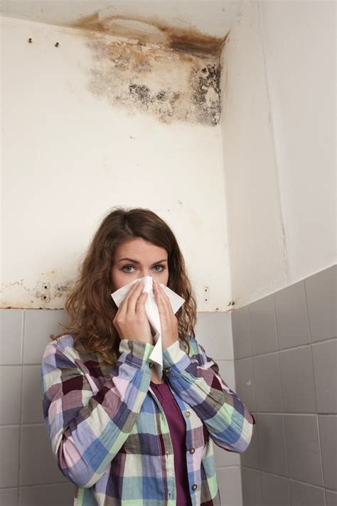What Renters Need To Know About Mold Hotpads Blog