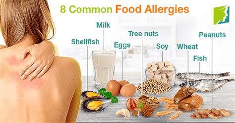 8 Common Food Allergies Menopause Now