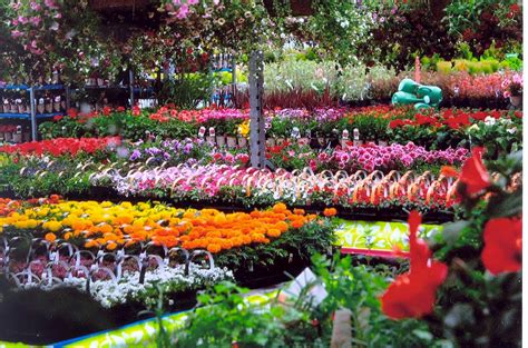 Send to minot zip codes 58701, 58702 and 58703. Your Independent Grocer Garden Centre