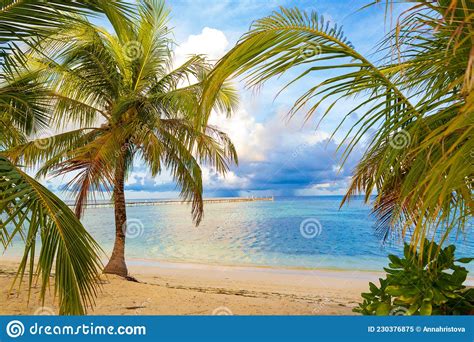 Secluded Tropical Beach Bodufinolhu Island Maldives Stock Image Image