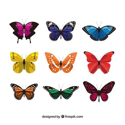 Free Vector Collection Of Elegant Colored Butterflies