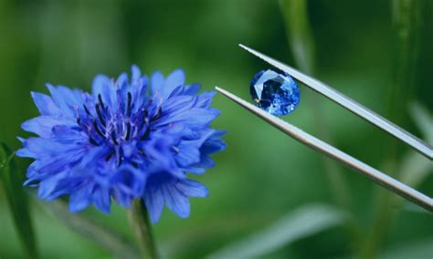 Cornflower Blue Sapphires Explained