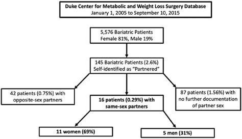 Flow Chart Of Patients With Same Sex Partners Identified In Bariatric Download Scientific