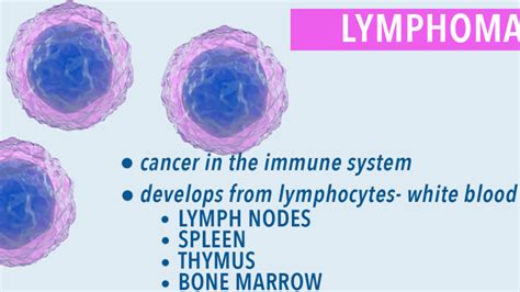 Lymphoma Classifications Cancerconnect