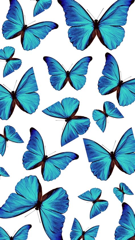 Cute Blue Butterfly Wallpapers Download Mobcup