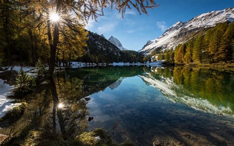 Nature Landscape Lake Alps Mountain Forest Reflection Snowy Peak