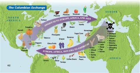 Columbian Exchange All About Exploration
