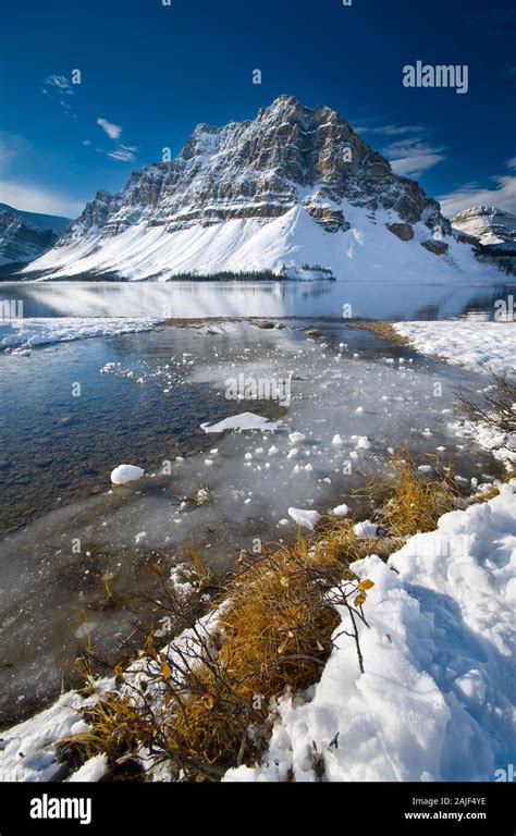Bow Lake Banff Canada Stock Photo Alamy
