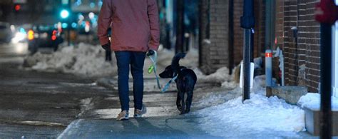 Couvre Feu 2022 Cest Maintenant Permis De Promener Son Chien Après