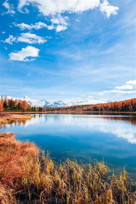 Kidelu Lake In Altai Mountains Siberia Russia Stock Image Image Of