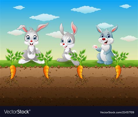 Three Rabbits Cartoon In Carrot Garden Royalty Free Vector
