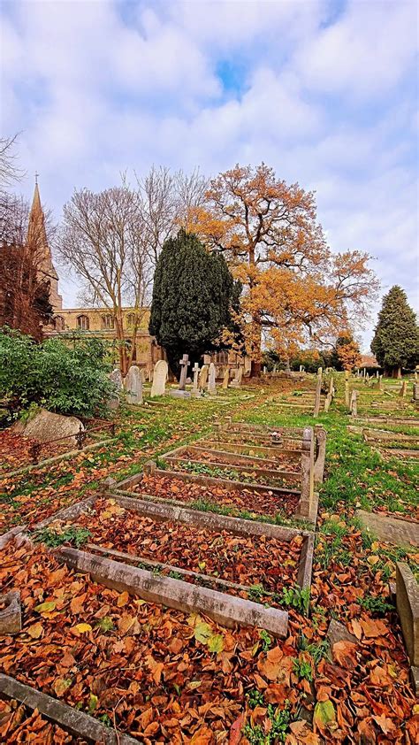 Autumn Came To The Graveyard In 2023 Autumn Scenery Autumn Trees