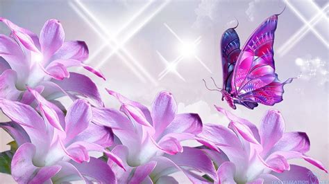 Flower With Butterfly Wallpaper Hd Gambar Bunga