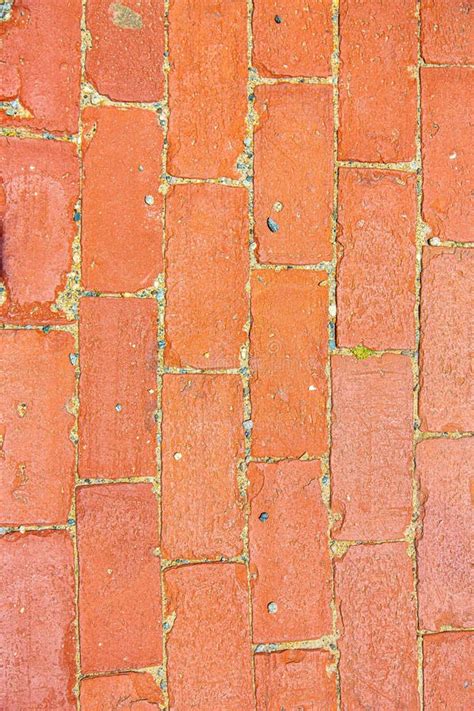 Red Brick Walkway Stock Image Image Of Walkway Tiled 12543667