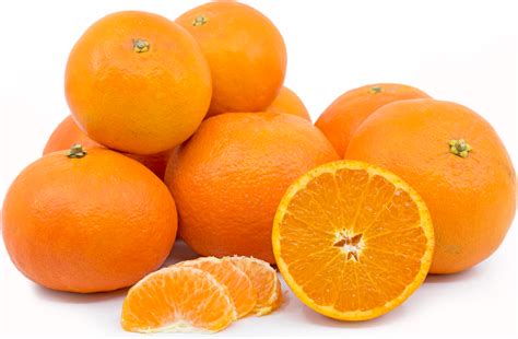 Shasta Gold Tangerine Information and Facts