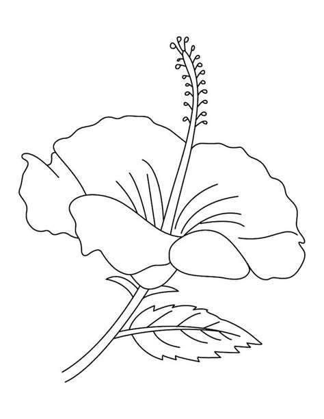 Printable coloring page full of flowers.suitable for both,kids and adults.calming designs,nice flowers and leafs. Free Printable Hibiscus Coloring Pages For Kids