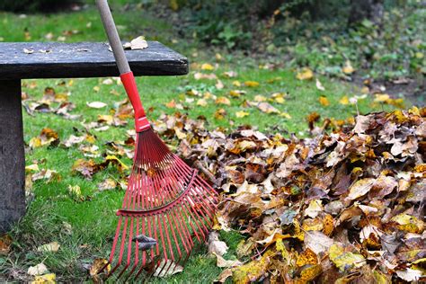 A Guide To Fall Lawn Care In Detroit Mi