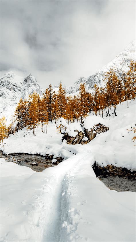 Download Wallpaper 1440x2560 Mountains Trees River Snow Winter