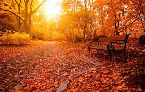 relaxing autumn day wallpapers top free relaxing autumn day backgrounds wallpaperaccess