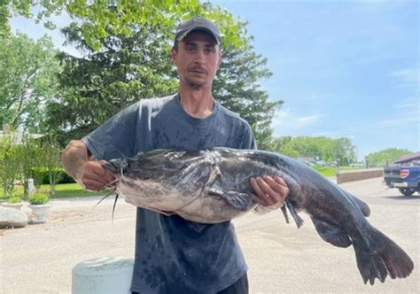 New State Record Flathead Catfish Tops 53 Pounds Outdoor News