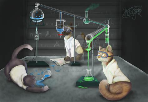 Chemistry Cats By Called1 For Jesus On Deviantart