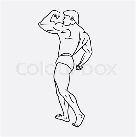 Male Muscle Showing Good Use For Stock Vector Colourbox