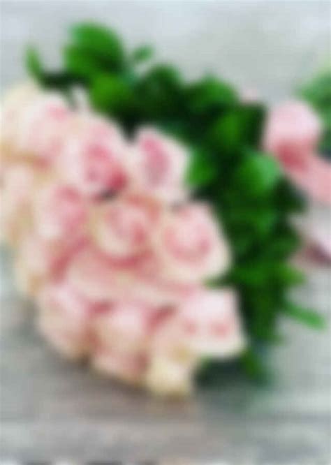 2 Dozen Long Stem Pink Rose Bouquet The Flower Alley