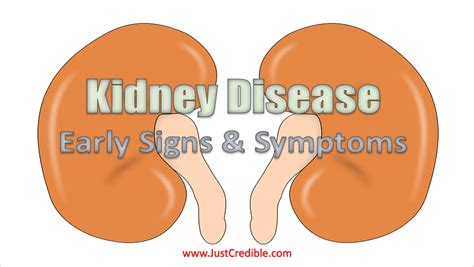 Kidney Disease Early Warning Signs And Symptoms Just Credible