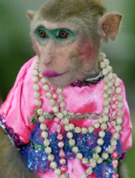 Turns Out Little Monkey Prostitute Rrickygervais