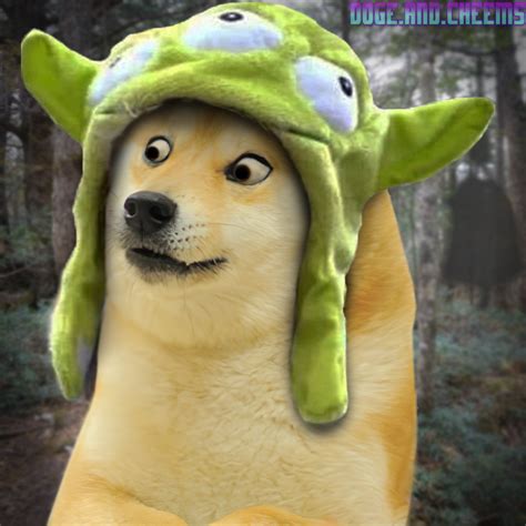 1080 X 1080 Doge Doge Collection Dank Memes Amino Başka Bir Değer