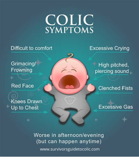 About Colic Survivor S Guide To Colic