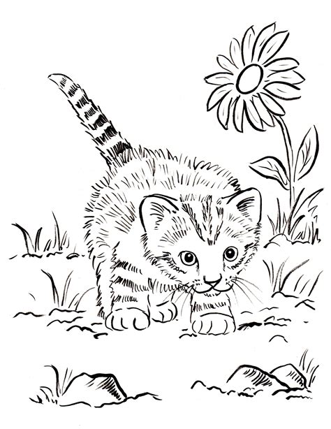 Cat Free Printable Coloring Pages