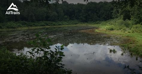 Holly springs national forest is the perfect place to bring a camera, fishing pole, favorite read or picnic lunch and sneak away from a demanding travel agenda. Best Trails in Holly Springs National Forest - Mississippi ...