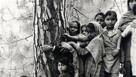 The chipko movement was a forest conservation movement where people embraced the trees to prevent them from being cut. Idea by ted on Chipko Andolan | Chipko movement, Movement ...
