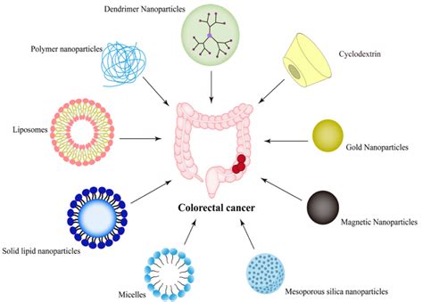 Nano Drug Delivery Systems Targeting Colorectal Cancer Encyclopedia Mdpi