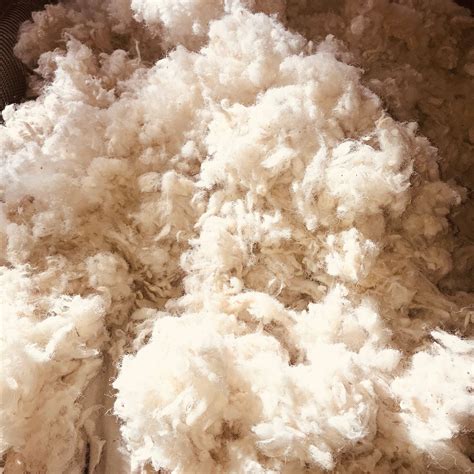 Havelock Wool Blown In Insulation Havelock Wool Residential Insulation