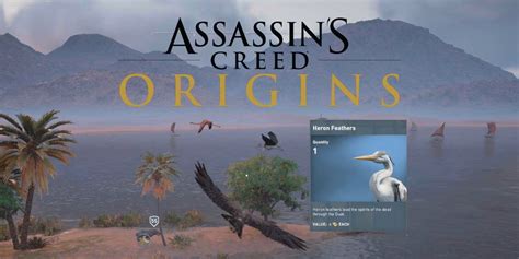Assassins Creed Origins Where To Find Heron Feathers