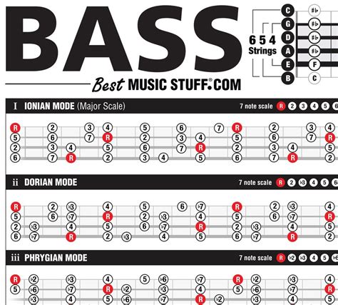 The Essential Bass Theory Reference Poster — Best Music Stuff Bass