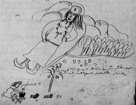Drawing From Linnaeuss Lapland Journal The Small Figure Of Uncertain