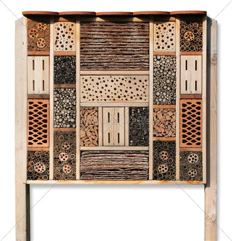 21,6 x 30,3 cm hardcover, 64 seiten, farbe. Insektenhaus insect refuge isolated - Lizenzfreies Bild ...