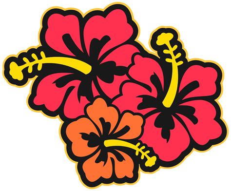 Hawaii Flower Png