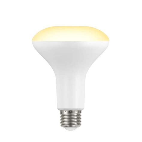 Ecosmart 65 Watt Equivalent Br30 Dimmable Led Light Bulb Bright White