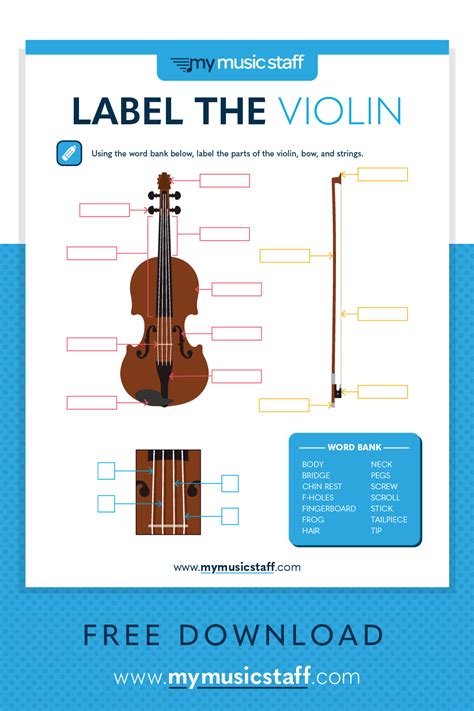 Parts Of The Violin Worksheet