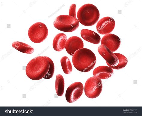 3d Rendered Illustration Human Red Blood Stock Illustration 150627935