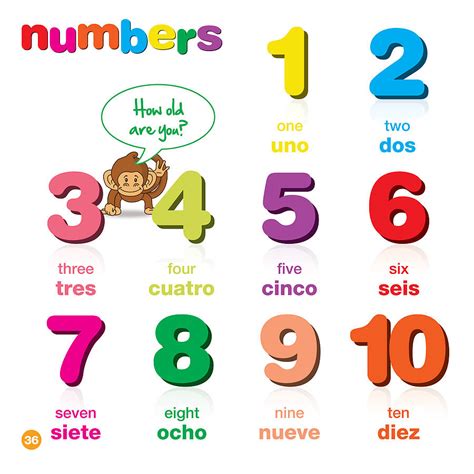 Spanish For Kids Bilingual Book And Free Dvd By Bee Smart
