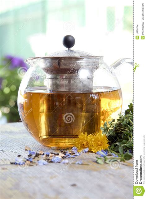 Herbal Tea In Teapot Stock Photo Image Of Grassy Isolated 14820744
