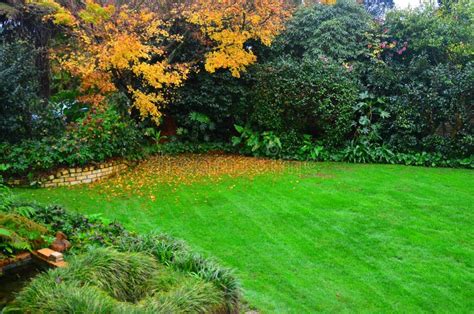 New Zealand Garden Scene Landscaping Stock Image Image Of Lawn Tree