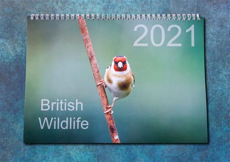 2021 Calendars Of British Wildlife Ed Brown Photography