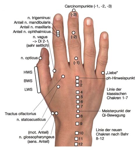 Akupunktur In Der Augenheilkunde Teil Springerlink
