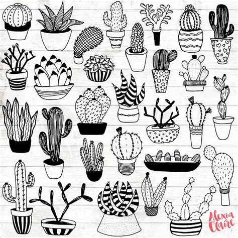 Succulent Clipart Hand Drawn Cactus Clipart Potted Cactus Etsy How
